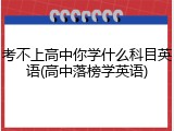 考不上高中你学什么科目英语(高中落榜学英语)