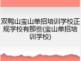 双鸭山宝山单招培训学校正规学校有那些(宝山单招培训学校)