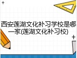西安莲湖文化补习学校是哪一家(莲湖文化补习校)