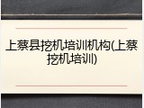 上蔡县挖机培训机构(上蔡挖机培训)