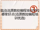 临沧沧源数控编程培训学校哪家好点(沧源数控编程培训优选)