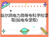 哈尔滨电力高等专科学校录取(哈电专录取)