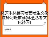 林芝米林县高考艺考生文化课补习班推荐(林芝艺考文化补习)