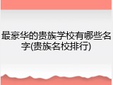 最豪华的贵族学校有哪些名字(贵族名校排行)