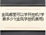 金凤哪里可以学开挖机?学费多少?(金凤学挖机费用)