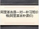 阿里革吉县一对一补习班价格(阿里革吉补课价)