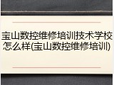 宝山数控维修培训技术学校怎么样(宝山数控维修培训)
