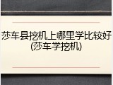 莎车县挖机上哪里学比较好(莎车学挖机)