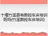 十堰竹溪县有数控车床培训班吗(竹溪数控车床培训)