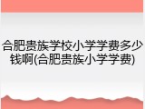 合肥贵族学校小学学费多少钱啊(合肥贵族小学学费)
