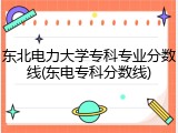 东北电力大学专科专业分数线(东电专科分数线)