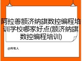 阿拉善额济纳旗数控编程培训学校哪家好点(额济纳旗数控编程培训)