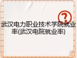 武汉电力职业技术学院就业率(武汉电院就业率)