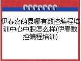 伊春嘉荫县哪有数控编程培训中心中职怎么样(伊春数控编程培训)