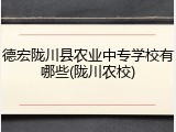 德宏陇川县农业中专学校有哪些(陇川农校)