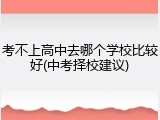 考不上高中去哪个学校比较好(中考择校建议)