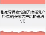 张家界月嫂培训无痛催乳产后修复(张家界产后护理培训)