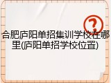 合肥庐阳单招集训学校在哪里(庐阳单招学校位置)