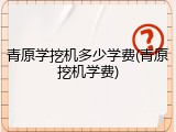 青原学挖机多少学费(青原挖机学费)