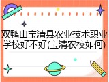 双鸭山宝清县农业技术职业学校好不好(宝清农校如何)