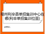 亳州利辛县单招集训中心在哪(利辛单招集训位置)