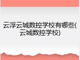 云浮云城数控学校有哪些(云城数控学校)