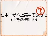 在中国考不上高中怎么办理(中考落榜出路)