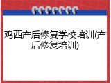 鸡西产后修复学校培训(产后修复培训)