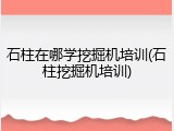 石柱在哪学挖掘机培训(石柱挖掘机培训)