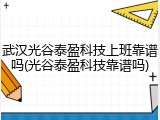 武汉光谷泰盈科技上班靠谱吗(光谷泰盈科技靠谱吗)