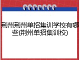 荆州荆州单招集训学校有哪些(荆州单招集训校)