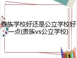 贵族学校好还是公立学校好一点(贵族vs公立学校)