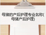 母猪的产后护理专业名称(母猪产后护理)