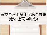 感觉考不上高中了怎么办呀(考不上高中咋办)