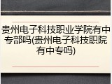 贵州电子科技职业学院有中专部吗(贵州电子科技职院有中专吗)