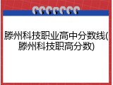 滕州科技职业高中分数线(滕州科技职高分数)