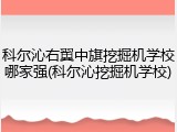 科尔沁右翼中旗挖掘机学校哪家强(科尔沁挖掘机学校)