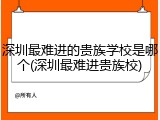 深圳最难进的贵族学校是哪个(深圳最难进贵族校)