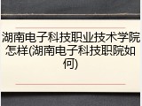 湖南电子科技职业技术学院怎样(湖南电子科技职院如何)