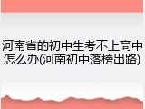 河南省的初中生考不上高中怎么办(河南初中落榜出路)