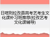 日喀则拉孜县高考艺考生文化课补习班推荐(拉孜艺考文化课辅导)