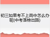 初三如果考不上高中怎么办呢(中考落榜出路)
