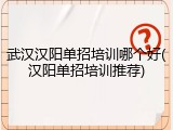 武汉汉阳单招培训哪个好(汉阳单招培训推荐)