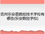 抚州乐安县数控技术学校有哪些(乐安数控学校)