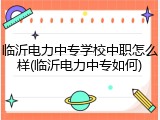 临沂电力中专学校中职怎么样(临沂电力中专如何)