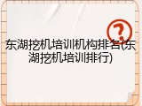 东湖挖机培训机构排名(东湖挖机培训排行)