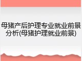 母猪产后护理专业就业前景分析(母猪护理就业前景)