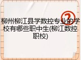 柳州柳江县学数控专业的学校有哪些职中生(柳江数控职校)