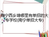 南宁西乡塘哪里有单招的大专学校(南宁单招大专)