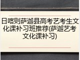 日喀则萨迦县高考艺考生文化课补习班推荐(萨迦艺考文化课补习)